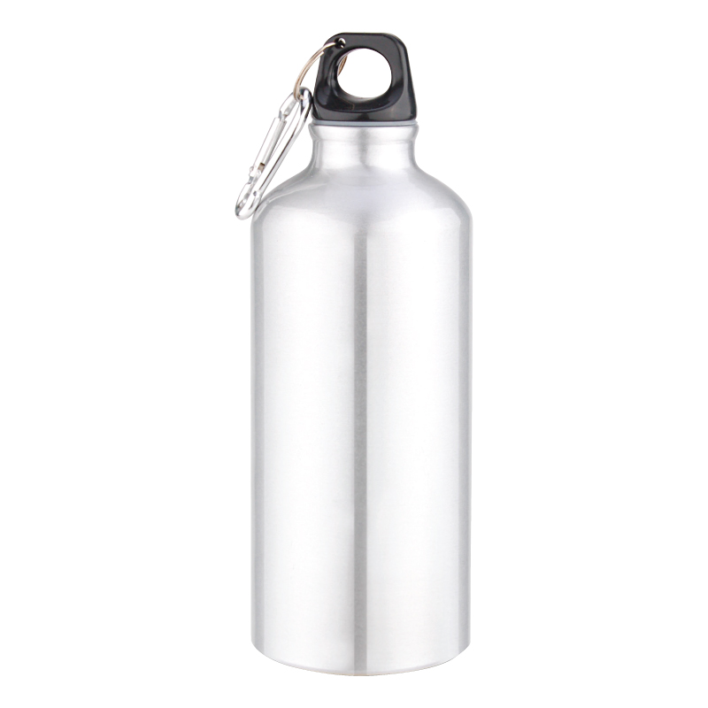 Stainless Steel Water Bottle 20 Oz with Screw Top and Carabiner Clip Asst  Colors